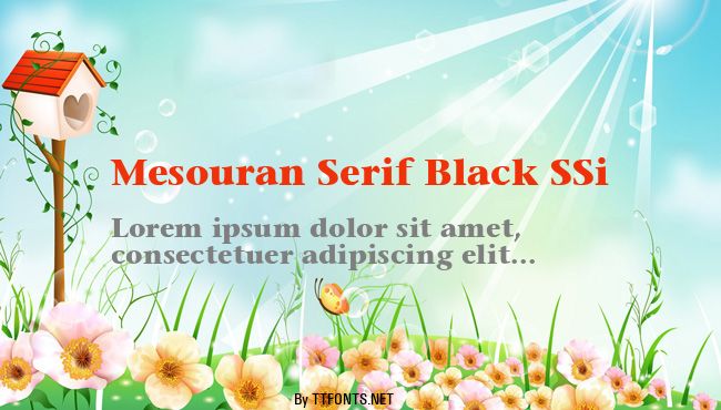 Mesouran Serif Black SSi example